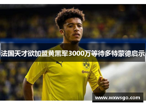 法国天才欲加盟黄黑军3000万等待多特蒙德启示