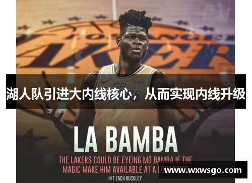 湖人队引进大内线核心，从而实现内线升级