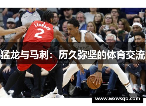 猛龙与马刺：历久弥坚的体育交流
